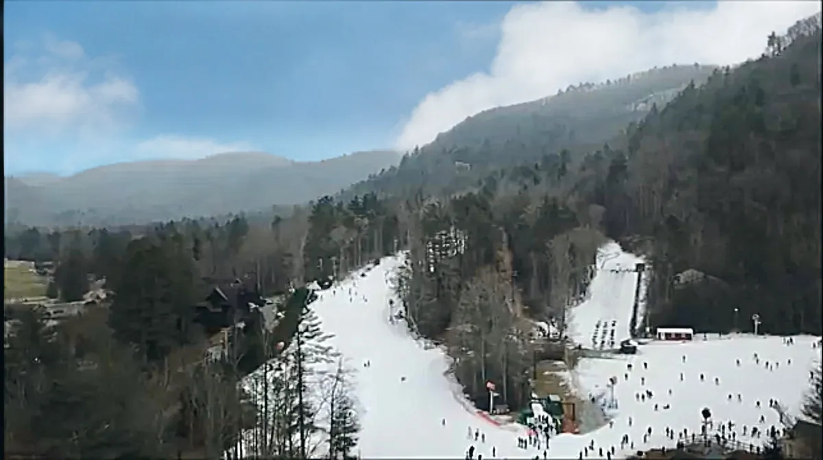 A lively scene captures skiers and snowboarders descending the slopes, framed by a dramatic mountain range and dense tree line. The snow glistens under the sun, and the dynamic movement of winter sports enthusiasts brings the landscape to life, evoking adventure and excitement.