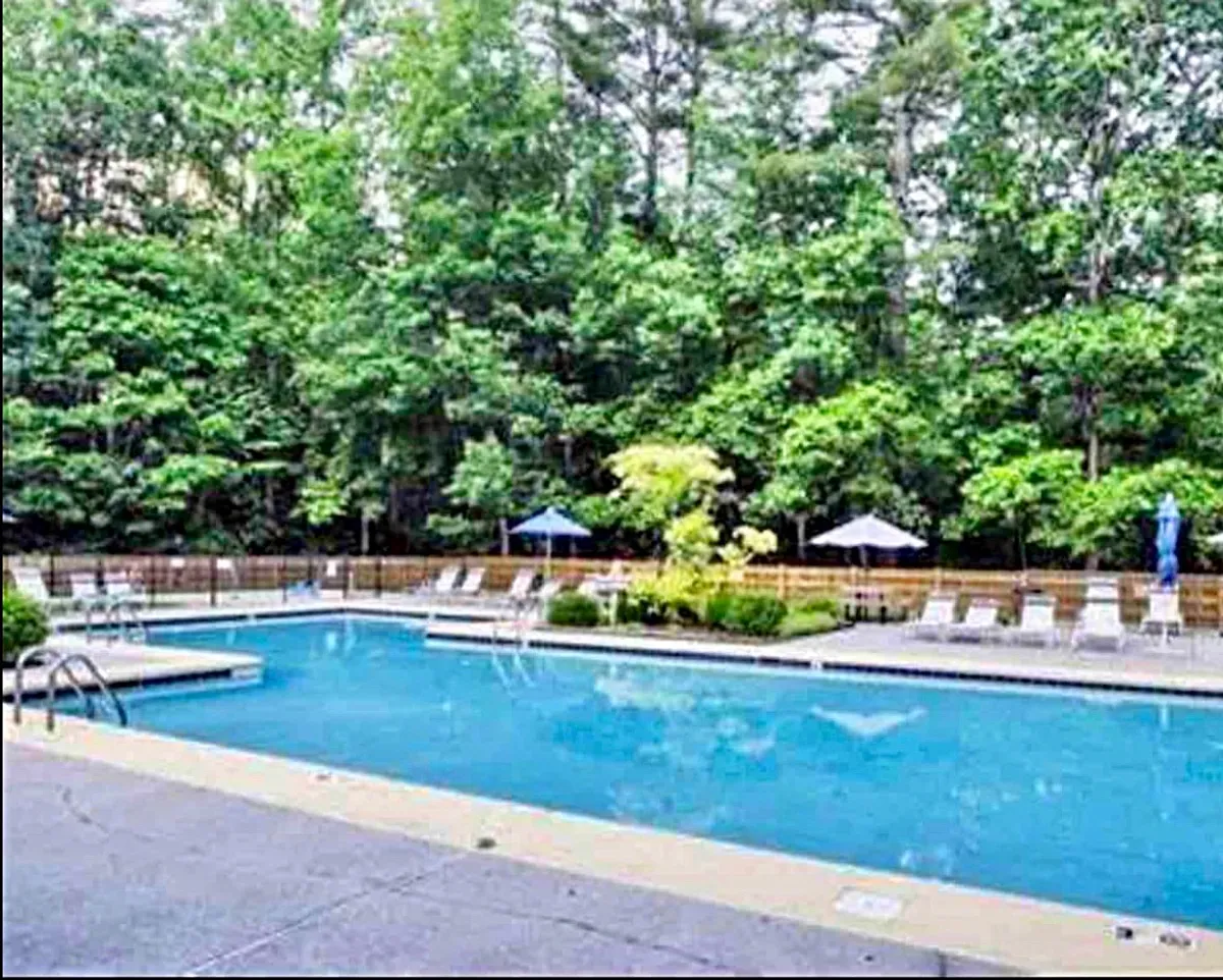 A sparkling outdoor pool surrounded by greenery and lounge chairs, with umbrellas providing shaded relaxation. The tranquil setting evokes a resort-style feel, ideal for swimming, sunbathing, or socializing in a lush environment.
